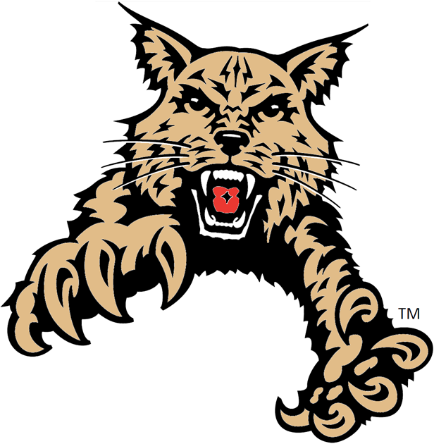 Abilene Christian Wildcats 1997-2012 Partial Logo t shirts DIY iron ons
